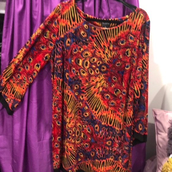 Clothes - Picture 8 of 8